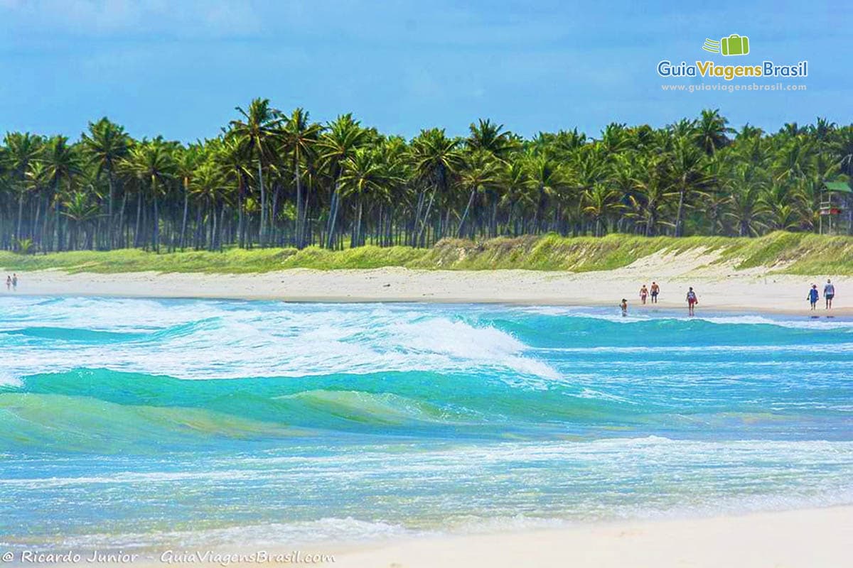 Praia do Francês